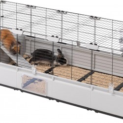 Ferplast Kaninchenkäfig, Hasenkäfig, Meerschweinchenkäfig, MODULAR 4, Modularer, erweiterbare, käfig groß, mit Zubehör, Viel Platz, 179 x 72 x h 56 cm Ferplast Kaninchenkäfig, Hasenkäfig, Meerschweinchenkäfig, MODULAR 4, Modularer, erweiterbare, käfig groß, mit Zubehör, Viel Platz, 179 x 72 x h 56 cm