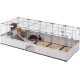Ferplast Kaninchenkäfig, Hasenkäfig, Meerschweinchenkäfig, MODULAR 4, Modularer, erweiterbare, käfig groß, mit Zubehör, Viel Platz, 179 x 72 x h 56 cm Ferplast Kaninchenkäfig, Hasenkäfig, Meerschweinchenkäfig, MODULAR 4, Modularer, erweiterbare, käfig groß, mit Zubehör, Viel Platz, 179 x 72 x h 56 cm