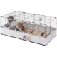 Ferplast Kaninchenkäfig, Hasenkäfig, Meerschweinchenkäfig, MODULAR 4, Modularer, erweiterbare, käfig groß, mit Zubehör, Viel Platz, 179 x 72 x h 56 cm Ferplast Kaninchenkäfig, Hasenkäfig, Meerschweinchenkäfig, MODULAR 4, Modularer, erweiterbare, käfig groß, mit Zubehör, Viel Platz, 179 x 72 x h 56 cm