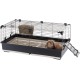 Ferplast Kaninchenkäfig TOMMY 100, Meerschweinchenkäfig, Kaninchen, Kleintiere, Kaninchenstall Indoor mit Gitter und Tränke, 99,5 x 53 x H 48 cm, Dach zum Öffnen, aus Lackiertem Metall und Kunststoff Ferplast Kaninchenkäfig TOMMY 100, Meerschweinchenkäfig, Kaninchen, Kleintiere, Kaninchenstall Indoor mit Gitter und Tränke, 99,5 x 53 x H 48 cm, Dach zum Öffnen, aus Lackiertem Metall und Kunststoff