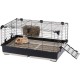 Ferplast Kaninchenkäfig TOMMY 100, Meerschweinchenkäfig, Kaninchen, Kleintiere, Kaninchenstall Indoor mit Gitter und Tränke, 99,5 x 53 x H 48 cm, Dach zum Öffnen, aus Lackiertem Metall und Kunststoff Ferplast Kaninchenkäfig TOMMY 100, Meerschweinchenkäfig, Kaninchen, Kleintiere, Kaninchenstall Indoor mit Gitter und Tränke, 99,5 x 53 x H 48 cm, Dach zum Öffnen, aus Lackiertem Metall und Kunststoff