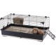 Ferplast Kaninchenkäfig TOMMY 100, Meerschweinchenkäfig, Kaninchen, Kleintiere, Kaninchenstall Indoor mit Gitter und Tränke, 99,5 x 53 x H 48 cm, Dach zum Öffnen, aus Lackiertem Metall und Kunststoff Ferplast Kaninchenkäfig TOMMY 100, Meerschweinchenkäfig, Kaninchen, Kleintiere, Kaninchenstall Indoor mit Gitter und Tränke, 99,5 x 53 x H 48 cm, Dach zum Öffnen, aus Lackiertem Metall und Kunststoff