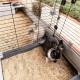 Ferplast Krolik 160 57072670 Rodent Cage Ferplast Krolik 160 57072670 Rodent Cage