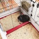 Ferplast Krolik 160 57072670 Rodent Cage Ferplast Krolik 160 57072670 Rodent Cage