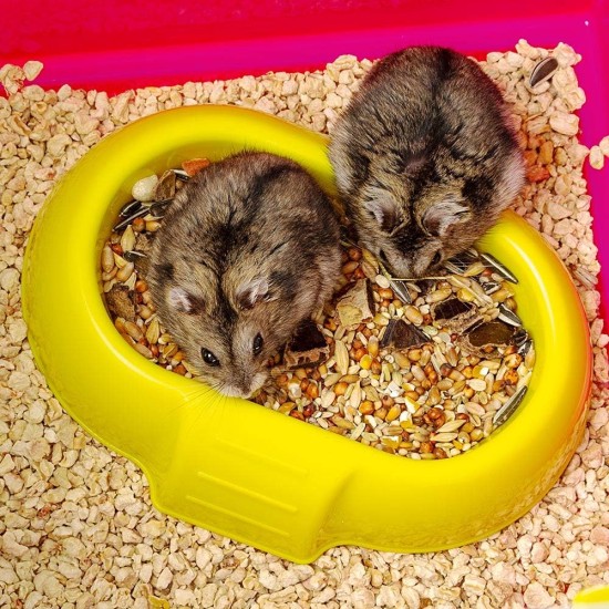 Ferplast Laura Hamster Cage with Accessories-color may vary Ferplast Laura Hamster Cage with Accessories-color may vary
