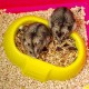 Ferplast Laura Hamster Cage with Accessories-color may vary