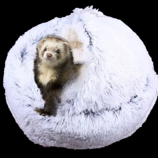 Ferret Bed Cave & Hideouts Ferret Hideaway Accessories for Cage, Ferret, Beds and Hideouts (Grey) Ferret Bed Cave & Hideouts Ferret Hideaway Accessories for Cage, Ferret, Beds and Hideouts (Grey)