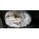 Ferret Bed Cave & Hideouts Ferret Hideaway Accessories for Cage, Ferret, Beds and Hideouts (Grey) Ferret Bed Cave & Hideouts Ferret Hideaway Accessories for Cage, Ferret, Beds and Hideouts (Grey)
