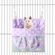 Fnaobai Sugar Gliders Sleeping Bag Hamster Velvet Hammocks Bed Carrier with Strap Squirrel Marmots Guinea Pig Warm Swing Carry Bag Cage Accessories for Small Animals (Pink) Fnaobai Sugar Gliders Sleeping Bag Hamster Velvet Hammocks Bed Carrier with Strap Squirrel Marmots Guinea Pig Warm Swing Carry Bag Cage Accessories for Small Animals (Pink)