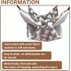 Hamster Accessories, Guinea Pig Accessories, Guinea Pig Toy, Ferret Hammock, Rabbit Chinchilla Hammock, Plush Hammock for Squirrels, Chinchillas, Rabbits Hamster Accessories, Guinea Pig Accessories, Guinea Pig Toy, Ferret Hammock, Rabbit Chinchilla Hammock, Plush Hammock for Squirrels, Chinchillas, Rabbits