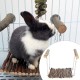 Hamster Wooden Swing Wooden Hamster Hammock Hanging Small Animals Cage Swing for Rabbit Hamster Mouse Accessories, Default, Modern Hamster Wooden Swing Wooden Hamster Hammock Hanging Small Animals Cage Swing for Rabbit Hamster Mouse Accessories, Default, Modern