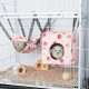 Hedgeink Frettchen Hängematten 4er Set – Waschbare Kuschelhöhle & Hängematte für Ratten, Meerschweinchen, Chinchilla – Kleintier Zubehör für Käfig, Nest, Tunnel & Schlafplatz Hedgeink Frettchen Hängematten 4er Set – Waschbare Kuschelhöhle & Hängematte für Ratten, Meerschweinchen, Chinchilla – Kleintier Zubehör für Käfig, Nest, Tunnel & Schlafplatz