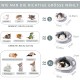 JanYoo Chinchilla Hedgehog Guinea Pig Bed, Accessories, Cage, Toy, Bearded Dragon House, Hamster Accessories, Habitat, Ferret, Rat JanYoo Chinchilla Hedgehog Guinea Pig Bed, Accessories, Cage, Toy, Bearded Dragon House, Hamster Accessories, Habitat, Ferret, Rat