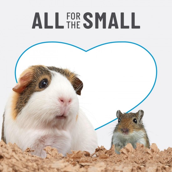 Kaytee Clean & Cozy Bedding for Small Pets, Rodents, Hamsters 99.9% Dust Free, Odour Control Kaytee Clean & Cozy Bedding for Small Pets, Rodents, Hamsters 99.9% Dust Free, Odour Control