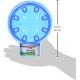 Kaytee Mini Igloo – Cosy Hideout for Hamsters, Gerbils or Other Small Animals - Purple/Green/Blue/Magenta