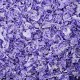 Kaytee Superpet Clean & Cozy Litter for Small Pets Mice, Gerbils, Rodents, Hamsters, Rabbits, Ultra Absorbent Paper Litter, 99.9% Dust Free, Purple, 49.2 Litres Kaytee Superpet Clean & Cozy Litter for Small Pets Mice, Gerbils, Rodents, Hamsters, Rabbits, Ultra Absorbent Paper Litter, 99.9% Dust Free, Purple, 49.2 Litres