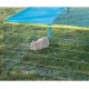 Kerbl 82825 outdoor enclosure with breakout barrier 230 x 115 x 70 cm, with cover Kerbl 82825 outdoor enclosure with breakout barrier 230 x 115 x 70 cm, with cover