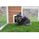 Kerbl Pet Outdoor Walk with Integrated Shelter 132 x 102 x 59 cm Kerbl Pet Outdoor Walk with Integrated Shelter 132 x 102 x 59 cm