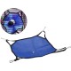 Kleines Haustier Mesh Hängematte, Hamster Aktivität Hängen Bett Bildschirm Tuch Cool Swing Nest Spiel Spielzeug für Eichhörnchen Chinchilla Meerschweinchen Ratte Mäuse Kleintiere (L(34*34cm)) Kleines Haustier Mesh Hängematte, Hamster Aktivität Hängen Bett Bildschirm Tuch Cool Swing Nest Spiel Spielzeug für Eichhörnchen Chinchilla Meerschweinchen Ratte Mäuse Kleintiere (L(34*34cm))
