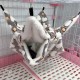 LXTaoler Pet Hammock for Small Animals, Soft and Warm Pets Cage Hammock 2/3 Layers Hanging Bed for Cute Hamsters, Ferrets, Parrots, Guinea Pigs, 34 x 34 cm, Brown LXTaoler Pet Hammock for Small Animals, Soft and Warm Pets Cage Hammock 2/3 Layers Hanging Bed for Cute Hamsters, Ferrets, Parrots, Guinea Pigs, 34 x 34 cm, Brown