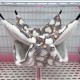 LXTaoler Pet Hammock for Small Animals, Soft and Warm Pets Cage Hammock 2/3 Layers Hanging Bed for Cute Hamsters, Ferrets, Parrots, Guinea Pigs, 34 x 34 cm, Brown LXTaoler Pet Hammock for Small Animals, Soft and Warm Pets Cage Hammock 2/3 Layers Hanging Bed for Cute Hamsters, Ferrets, Parrots, Guinea Pigs, 34 x 34 cm, Brown