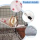 MiOYOOW 2 Stück Eckhängematten Hamster, Doppelseitige Hängebette Meerschweinchen, Dreieckige Rattenschaukeln für Kleintiere Hamster Eichhörnchen Meerschweinchen Sugar Gliders Chinchillas MiOYOOW 2 Stück Eckhängematten Hamster, Doppelseitige Hängebette Meerschweinchen, Dreieckige Rattenschaukeln für Kleintiere Hamster Eichhörnchen Meerschweinchen Sugar Gliders Chinchillas