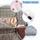 MiOYOOW Pack of 2 Corner Hamsters, Double Sided Hanging Beds Guinea Pigs, Triangular Rat Swings for Small Animals, Hamsters, Squirrels, Guinea Pigs, Sugar Gliders, Chinchillas MiOYOOW Pack of 2 Corner Hamsters, Double Sided Hanging Beds Guinea Pigs, Triangular Rat Swings for Small Animals, Hamsters, Squirrels, Guinea Pigs, Sugar Gliders, Chinchillas
