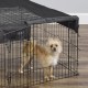 MidWest Homes For Pets Square Mesh Top Practice Pen MidWest Homes For Pets Square Mesh Top Practice Pen