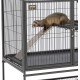 MidWest Homes for Pets Designer Ferret Nation/Critter Nation Small Hammock MidWest Homes for Pets Designer Ferret Nation/Critter Nation Small Hammock