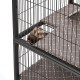 MidWest Homes for Pets Designer Ferret Nation/Critter Nation Small Hammock MidWest Homes for Pets Designer Ferret Nation/Critter Nation Small Hammock