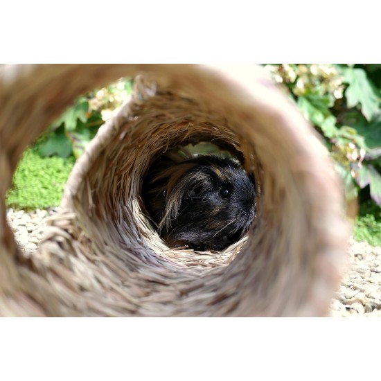 Naturals Small Animal Activity Woven Jumbo Play Tunnel by Rosewood Pet Products Naturals Small Animal Activity Woven Jumbo Play Tunnel by Rosewood Pet Products