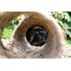 Naturals Small Animal Activity Woven Jumbo Play Tunnel by Rosewood Pet Products Naturals Small Animal Activity Woven Jumbo Play Tunnel by Rosewood Pet Products