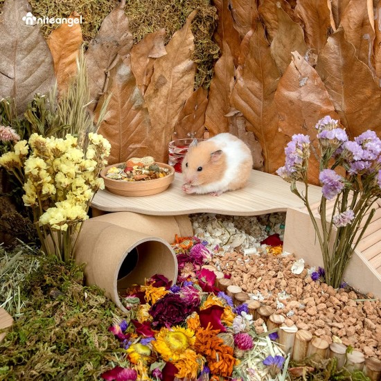 Niteangel Wooden Hamster Play Platform for Syrian Dwarf Hamsters, Gerbils, Mice, Degus or Other Small Pets: 30L x 21W x 15H cm, Burlywood Niteangel Wooden Hamster Play Platform for Syrian Dwarf Hamsters, Gerbils, Mice, Degus or Other Small Pets: 30L x 21W x 15H cm, Burlywood