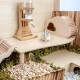 Niteangel Wooden Hamster Play Platform for Syrian Dwarf Hamsters, Gerbils, Mice, Degus or Other Small Pets: 30L x 21W x 15H cm, Burlywood Niteangel Wooden Hamster Play Platform for Syrian Dwarf Hamsters, Gerbils, Mice, Degus or Other Small Pets: 30L x 21W x 15H cm, Burlywood