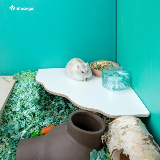 Niteangel Wooden Hamster Play Platform for Syrian Dwarf Hamsters, Gerbils, Mice, Degus or Other Small Pets: 30L x 21W x 15H cm, Burlywood Niteangel Wooden Hamster Play Platform for Syrian Dwarf Hamsters, Gerbils, Mice, Degus or Other Small Pets: 30L x 21W x 15H cm, Burlywood
