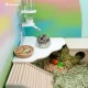 Niteangel Wooden Hamster Play Platform for Syrian Dwarf Hamsters, Gerbils, Mice, Degus or Other Small Pets: 30L x 21W x 15H cm, Burlywood Niteangel Wooden Hamster Play Platform for Syrian Dwarf Hamsters, Gerbils, Mice, Degus or Other Small Pets: 30L x 21W x 15H cm, Burlywood