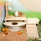 Niteangel Wooden Hamster Play Platform for Syrian Dwarf Hamsters, Gerbils, Mice, Degus or Other Small Pets: 30L x 21W x 15H cm, Burlywood Niteangel Wooden Hamster Play Platform for Syrian Dwarf Hamsters, Gerbils, Mice, Degus or Other Small Pets: 30L x 21W x 15H cm, Burlywood