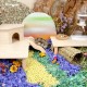 Niteangel Wooden Hamster Play Platform for Syrian Dwarf Hamsters, Gerbils, Mice, Degus or Other Small Pets: 30L x 21W x 15H cm, Burlywood Niteangel Wooden Hamster Play Platform for Syrian Dwarf Hamsters, Gerbils, Mice, Degus or Other Small Pets: 30L x 21W x 15H cm, Burlywood