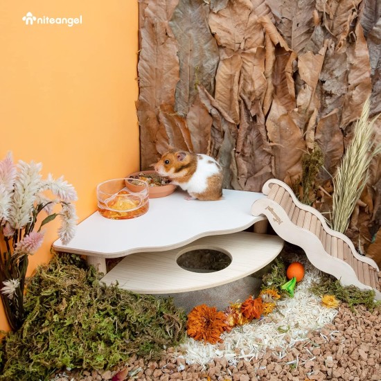 Niteangel Wooden Hamster Play Platform for Syrian Dwarf Hamsters, Gerbils, Mice, Degus or Other Small Pets: 30L x 21W x 15H cm, Burlywood Niteangel Wooden Hamster Play Platform for Syrian Dwarf Hamsters, Gerbils, Mice, Degus or Other Small Pets: 30L x 21W x 15H cm, Burlywood