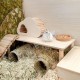 Niteangel Wooden Hamster Play Platform for Syrian Dwarf Hamsters, Gerbils, Mice, Degus or Other Small Pets: 30L x 21W x 15H cm, Burlywood Niteangel Wooden Hamster Play Platform for Syrian Dwarf Hamsters, Gerbils, Mice, Degus or Other Small Pets: 30L x 21W x 15H cm, Burlywood