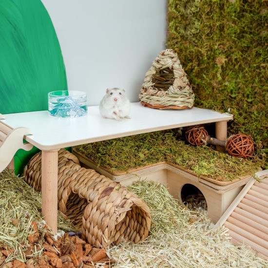 Niteangel Wooden Hamster Play Platform for Syrian Dwarf Hamsters, Gerbils, Mice, Degus or Other Small Pets: 30L x 21W x 15H cm, Burlywood Niteangel Wooden Hamster Play Platform for Syrian Dwarf Hamsters, Gerbils, Mice, Degus or Other Small Pets: 30L x 21W x 15H cm, Burlywood