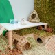 Niteangel Wooden Hamster Play Platform for Syrian Dwarf Hamsters, Gerbils, Mice, Degus or Other Small Pets: 30L x 21W x 15H cm, Burlywood Niteangel Wooden Hamster Play Platform for Syrian Dwarf Hamsters, Gerbils, Mice, Degus or Other Small Pets: 30L x 21W x 15H cm, Burlywood