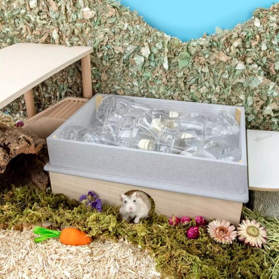 Niteangle Hamster Cooler & Multi Chamber Series Maze Ice Bed for Syrian Dwarf Hamsters, Gerbils, Mice, Degus or Other Small Pets (for 2 Chamber Hideout, Large) Niteangle Hamster Cooler & Multi Chamber Series Maze Ice Bed for Syrian Dwarf Hamsters, Gerbils, Mice, Degus or Other Small Pets (for 2 Chamber Hideout, Large)