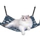 OPIURVY 1 x Cat Hammock 37 cm x 48 cm, Cat Hammock, Cat Swing, Cat Hammock, Recommended for Pets Under 4 kg OPIURVY 1 x Cat Hammock 37 cm x 48 cm, Cat Hammock, Cat Swing, Cat Hammock, Recommended for Pets Under 4 kg