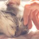 Petmaker Katzenhaus – Innenbett mit abnehmbarem Schaumstoffkissen – Haustierzelt für Welpen, Kaninchen, Meerschweinchen, Igel und andere Kleintiere (Rosa) Petmaker Katzenhaus – Innenbett mit abnehmbarem Schaumstoffkissen – Haustierzelt für Welpen, Kaninchen, Meerschweinchen, Igel und andere Kleintiere (Rosa)
