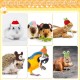 Silkfly 12 Pieces Hamster Hat, Mini Hats for Snakes, Small Animals, Guinea Pigs, Hamster Clothes, Cute Small Rat Hat for Snakes, Pets, Lizards, Hamsters, Bearded Dragons, Holidays Silkfly 12 Pieces Hamster Hat, Mini Hats for Snakes, Small Animals, Guinea Pigs, Hamster Clothes, Cute Small Rat Hat for Snakes, Pets, Lizards, Hamsters, Bearded Dragons, Holidays