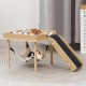Treesunshine Guinea Pig Hammock with Wooden Stand, Wooden Hamster House, Hammock Frame with Hammock for Guinea Pigs, Chinchilla Rats, Hamsters, Rabbits, Ferrets Sleeping Treesunshine Guinea Pig Hammock with Wooden Stand, Wooden Hamster House, Hammock Frame with Hammock for Guinea Pigs, Chinchilla Rats, Hamsters, Rabbits, Ferrets Sleeping