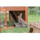 Trixie Natura Small Animal Hutch with Outdoor Run, 123 ラ 96 ラ 76 cm, Brown Trixie Natura Small Animal Hutch with Outdoor Run, 123 ラ 96 ラ 76 cm, Brown