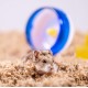 Uber Soft Paper Pet Bedding for Small Animals, White, 56 L Uber Soft Paper Pet Bedding for Small Animals, White, 56 L