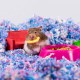 Uber Soft Paper Pet Bedding for Small Animals, White, 56 L Uber Soft Paper Pet Bedding for Small Animals, White, 56 L